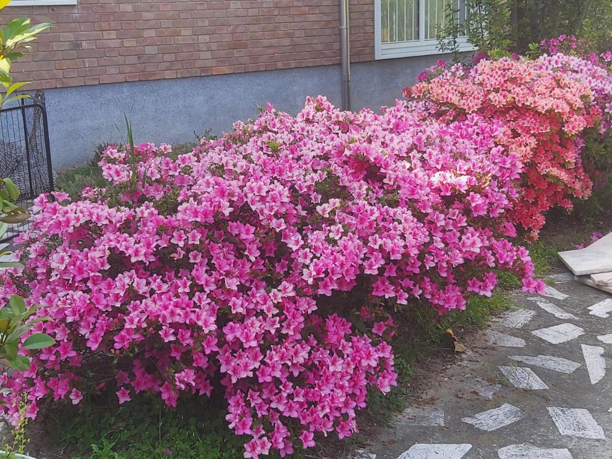 Villa Silvia Olivetti Banchette D'Ivrea Екстериор снимка