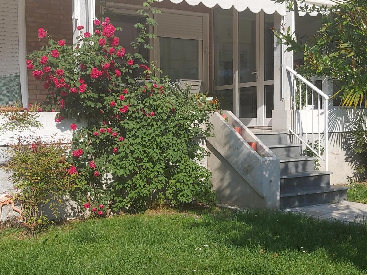 Villa Silvia Olivetti Banchette D'Ivrea Екстериор снимка